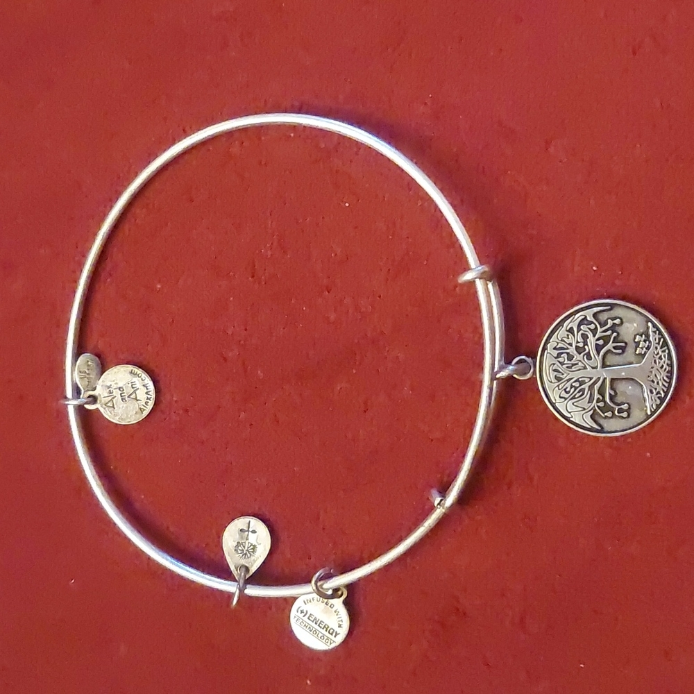 Alex and Ani Energy Bracelet Tree of Life 2012
